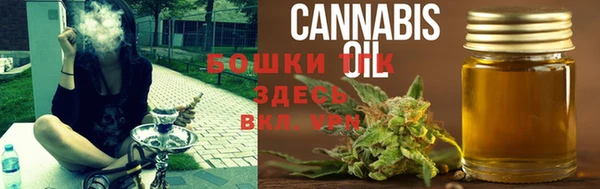прущие грибы Балабаново