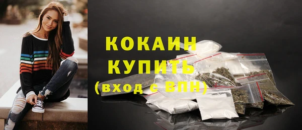 трава Белокуриха