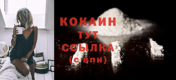 прущие грибы Балабаново