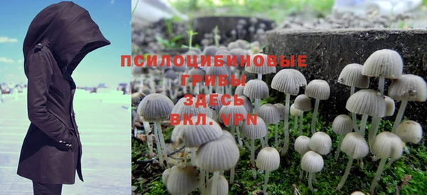 трава Белокуриха