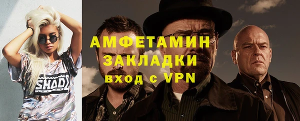 прущие грибы Балабаново