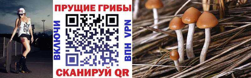 Галлюциногенные грибы MAGIC MUSHROOMS  цена   Вуктыл 
